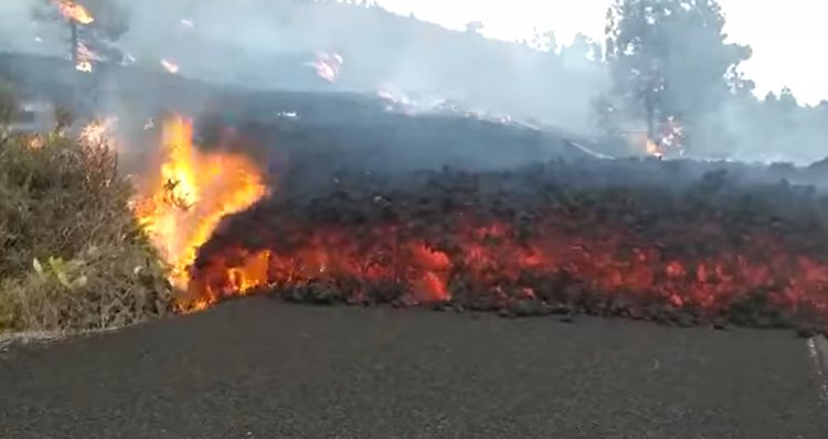 La lava arrasa 901 hectáreas y destruye 2.146 edificaciones