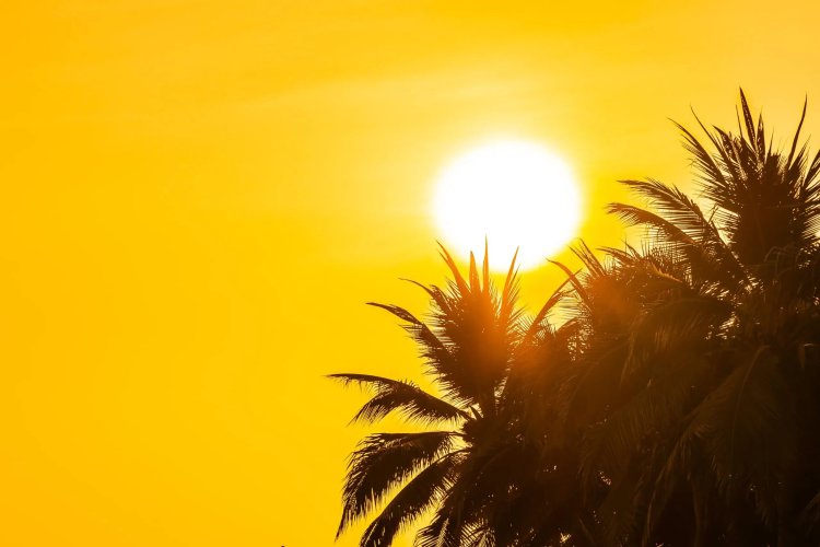 El calor extremo disparó la mortalidad un 26,8 % en Canarias entre mayo y agosto de 2022