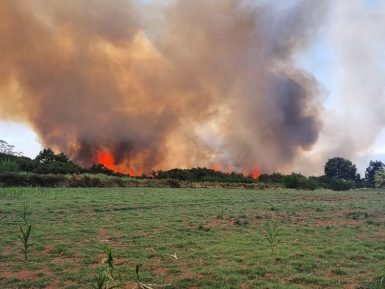 Dan por extinguido el incendio declarado entre La Laguna y El Rosario